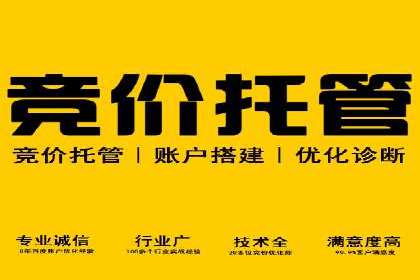 百度广告竞价之成功案例：某行业领军企业的崛起之路