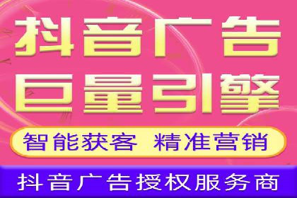 SEM主管实战：案例分析与优化策略